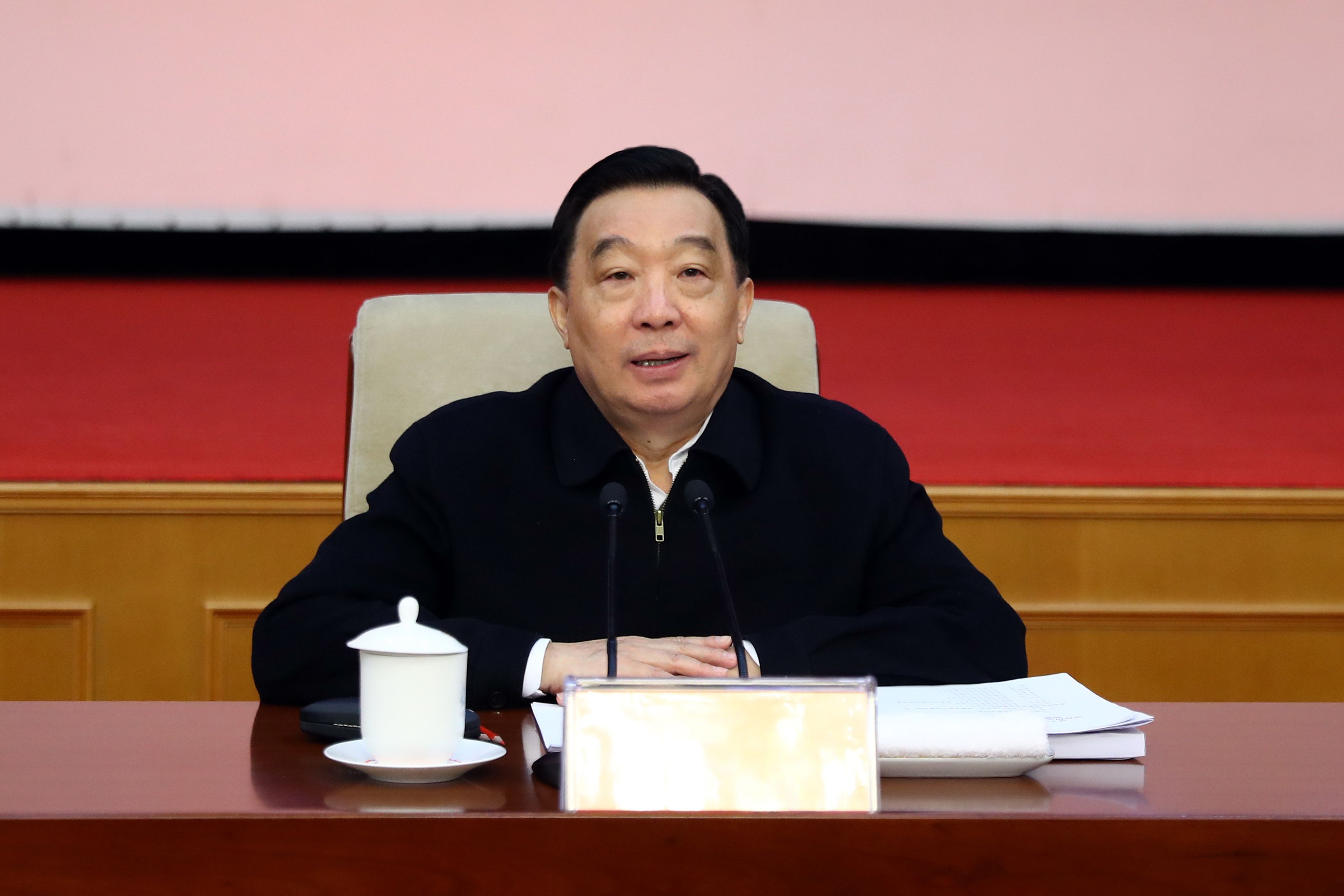 王晨 人大1.jpg